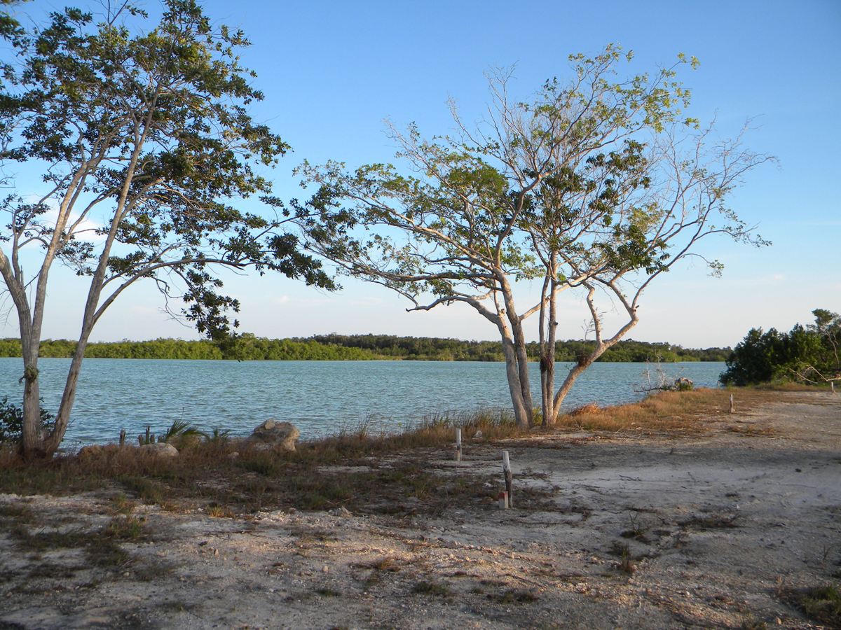 The lagoon two lots away
