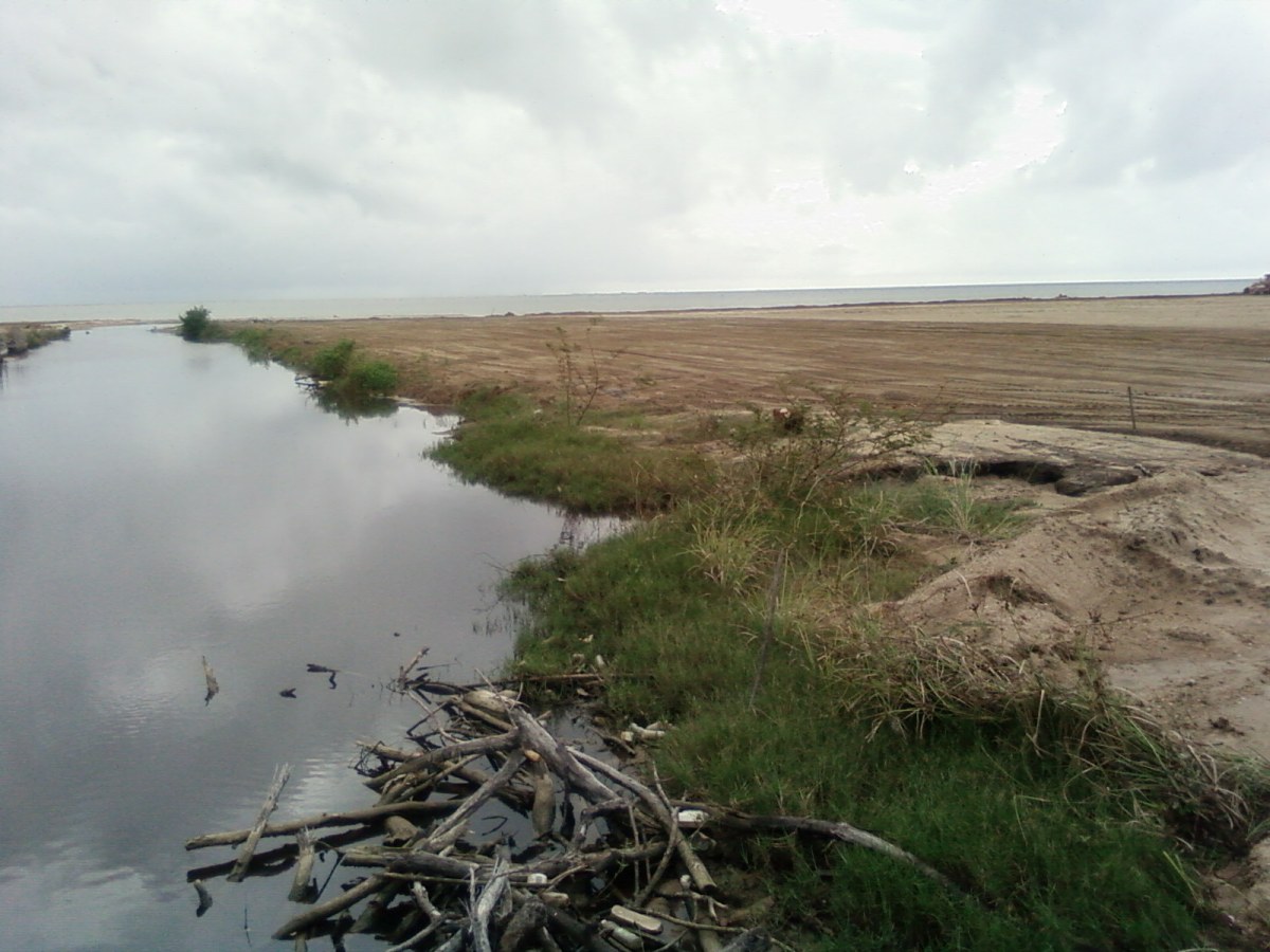 Beach front filled with sandy beach 