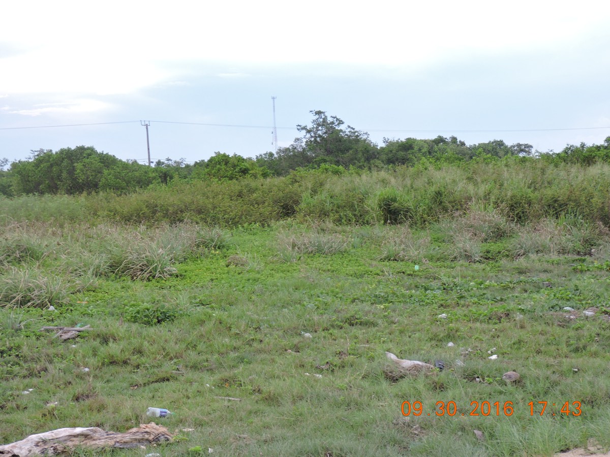 inside of property high land filled ready to build on 