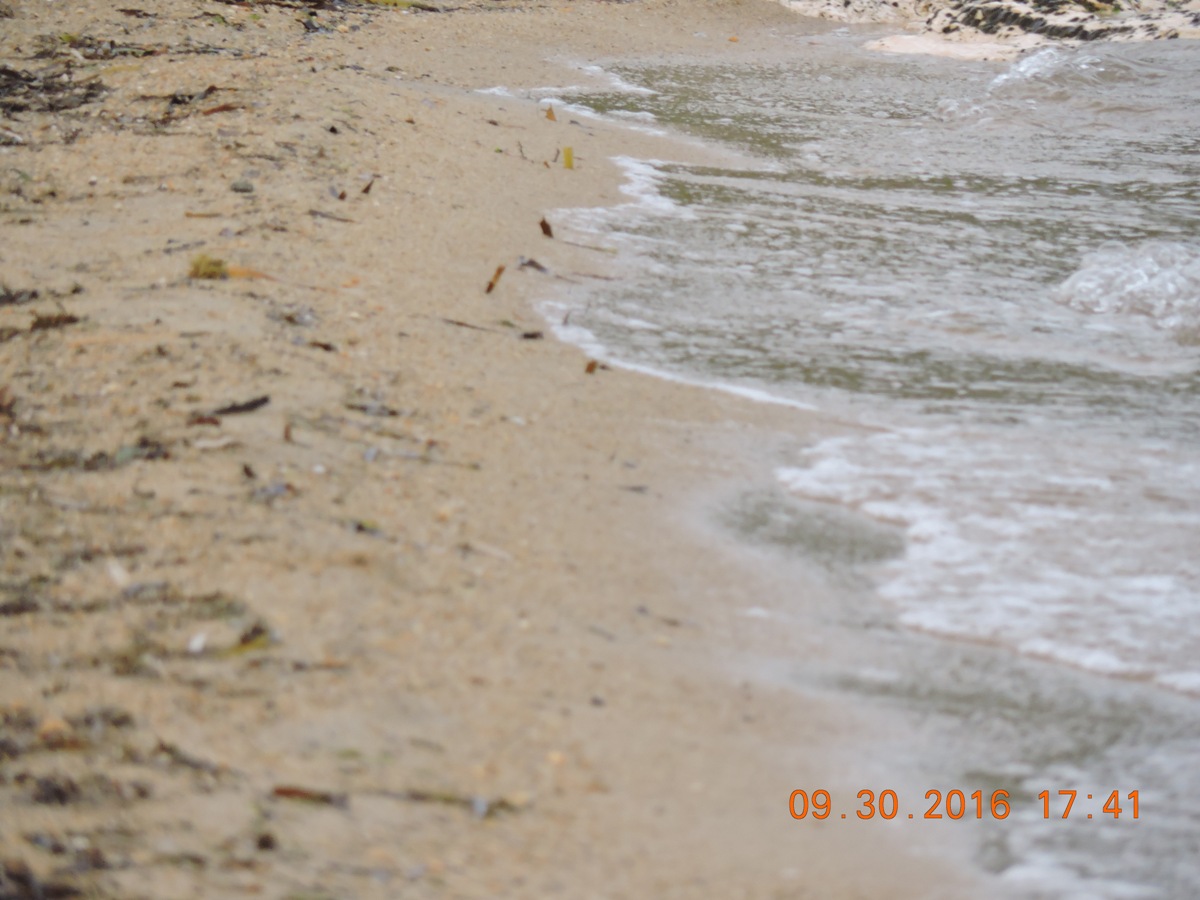 Golden Sandy Beach front 