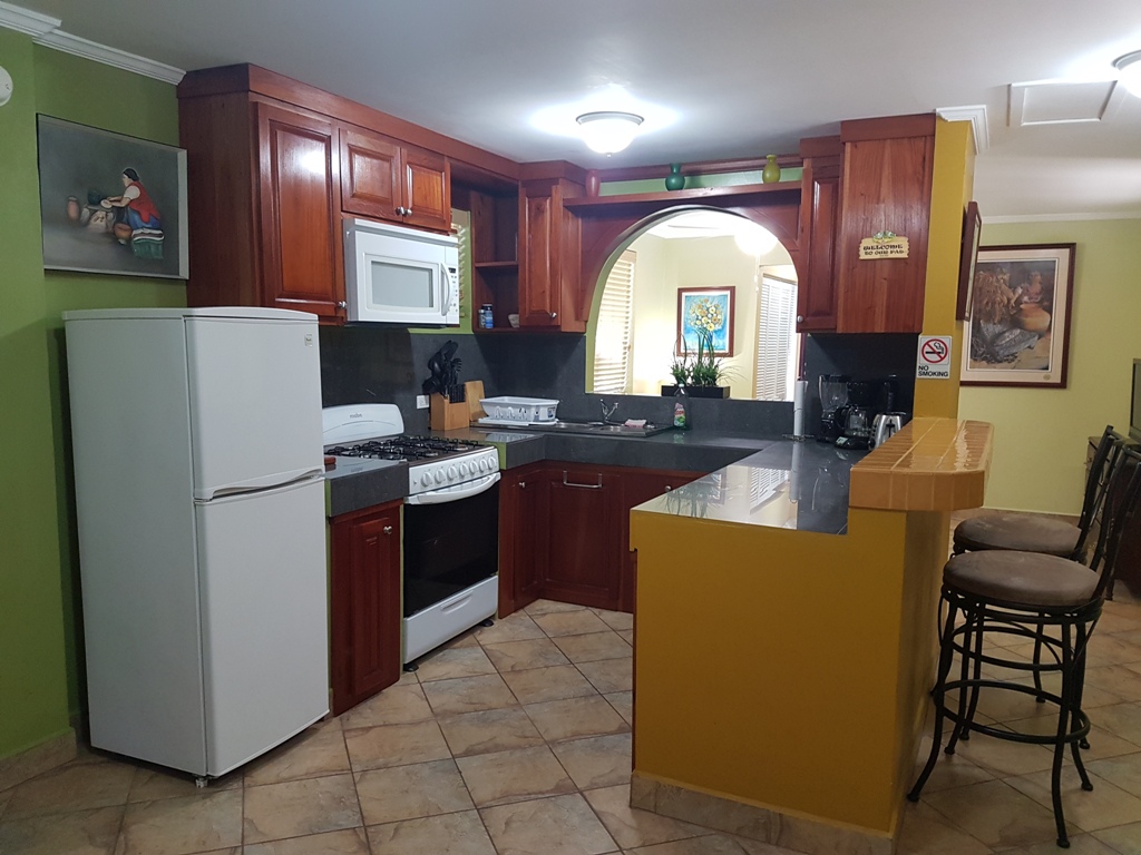 Furnished Studio Apartment for rent in Belize City