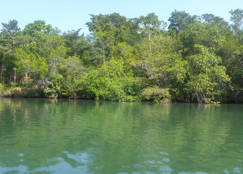 9.8 Acres in Big Falls