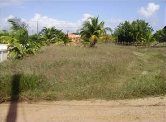 Commercial Lot in Placencia