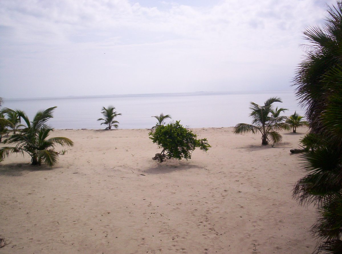 Beach front Lot for Sale in Placencia