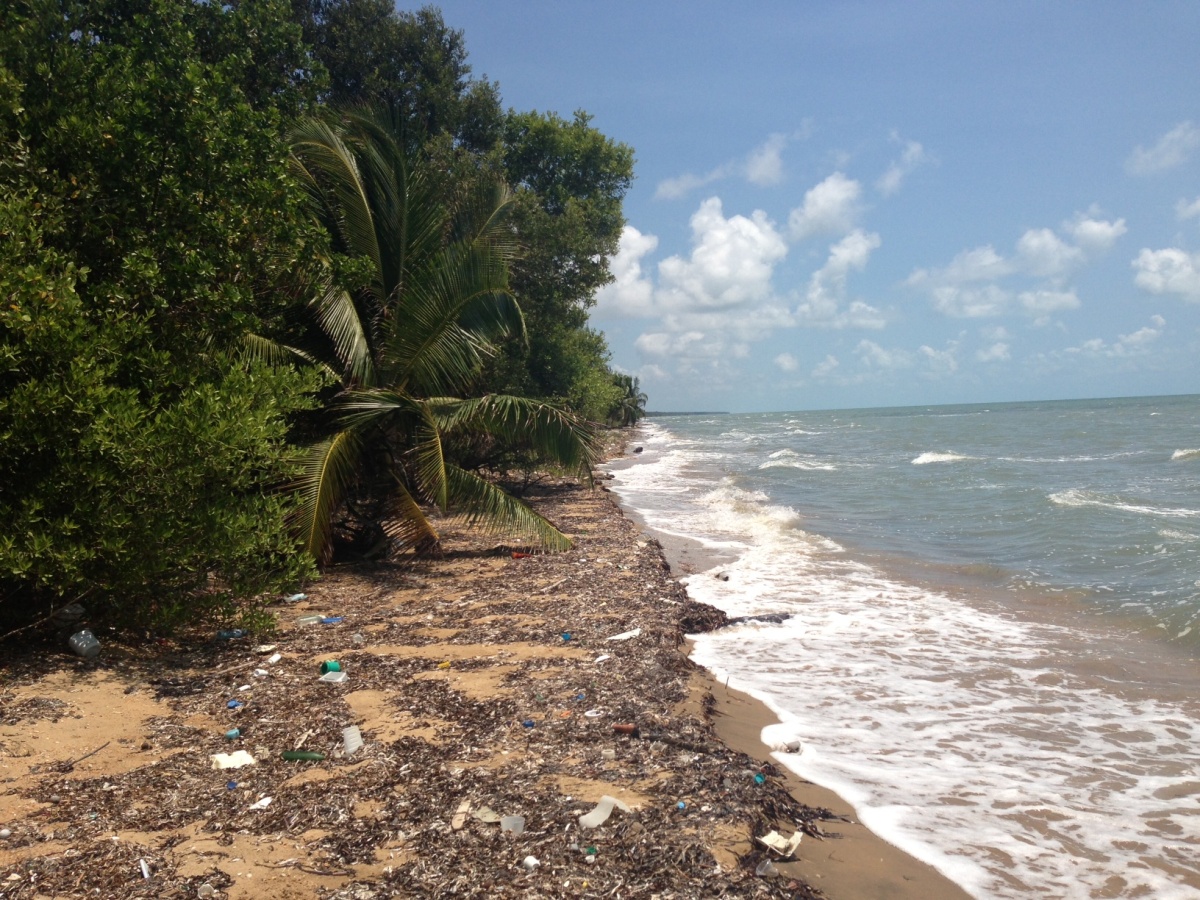Beach Front Property in Gales Point