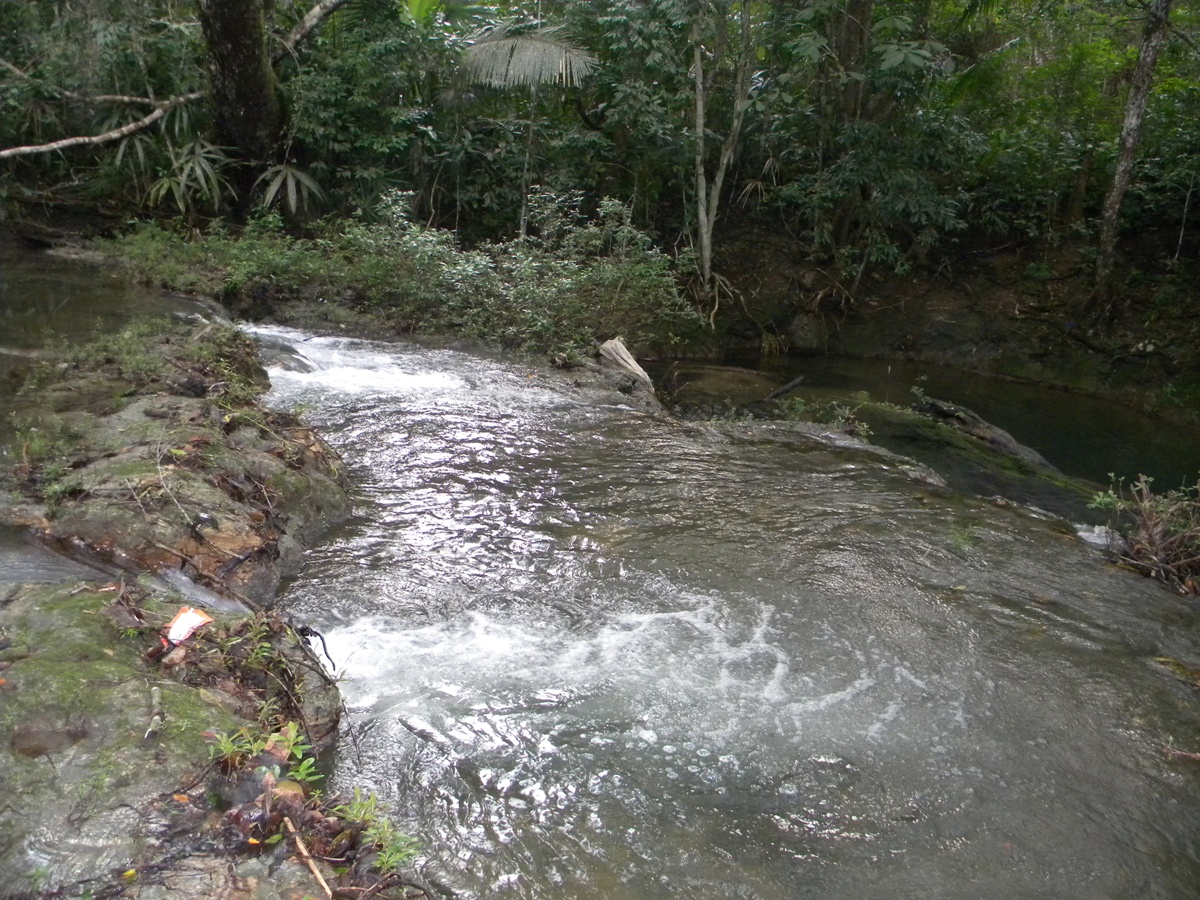 4.3 Acres with Creek in Cayo