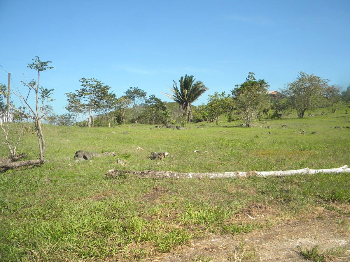 One Acre lot in Belmopan City 