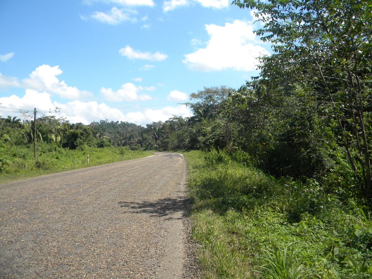 25 acres land on Hummingbird Highway  Stann Creek District