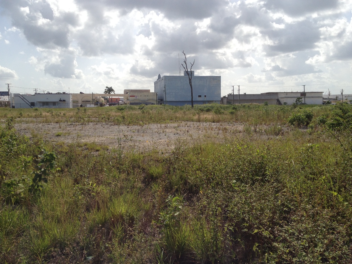 Commercial land at Free Zone 