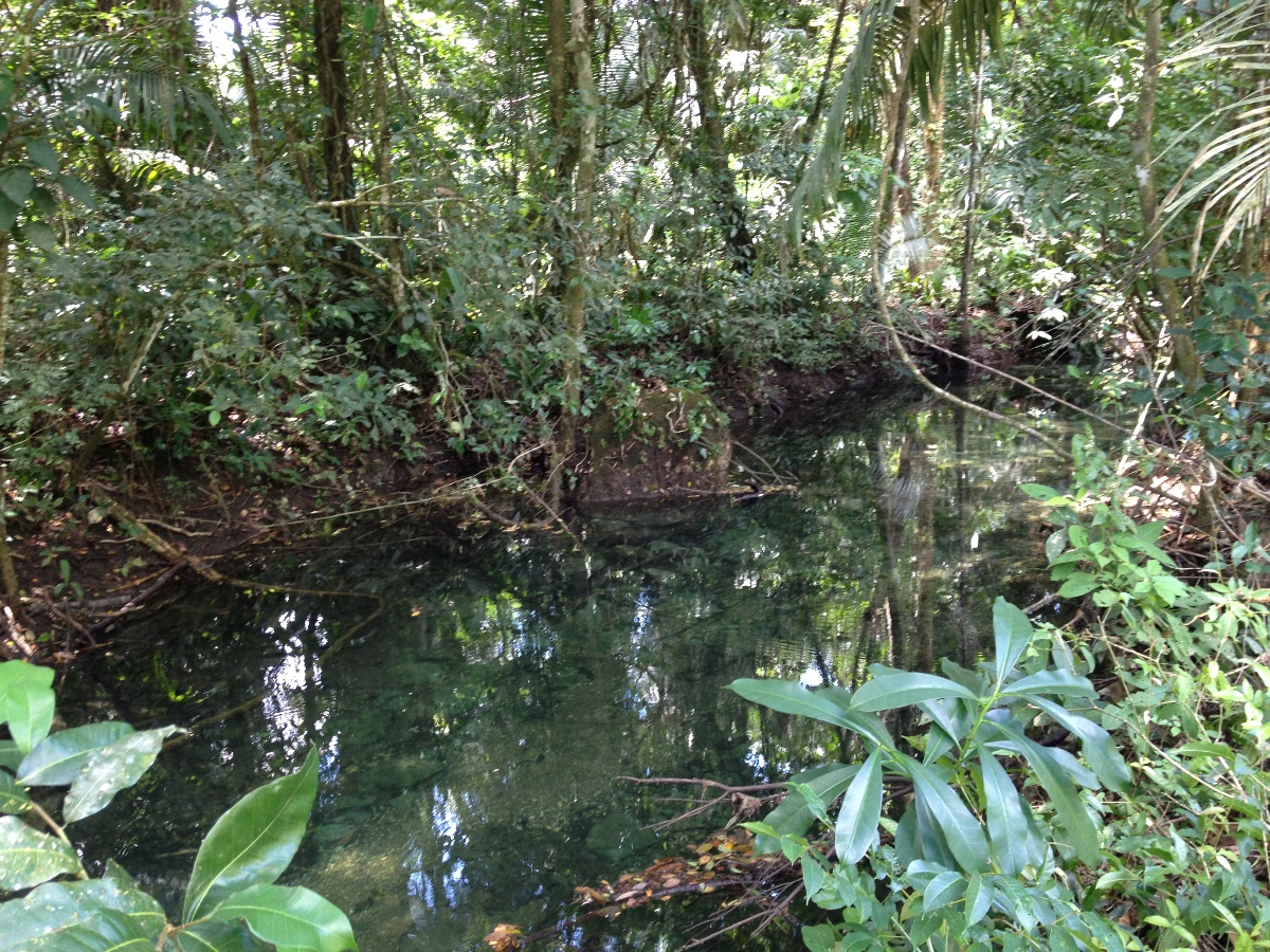 2000 acres of beautiful Rainforest Land