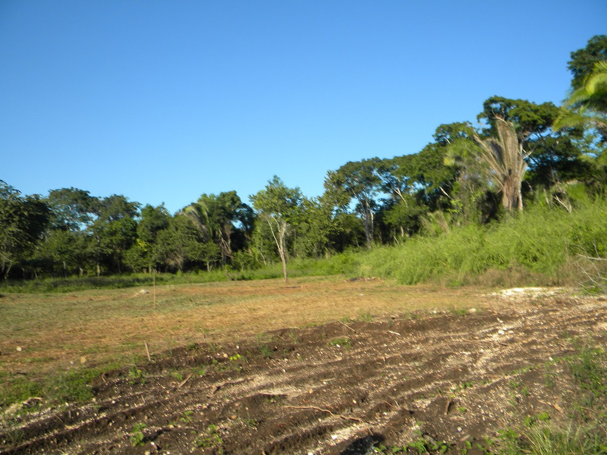 Land for Sale in Belmopan City, Belize
