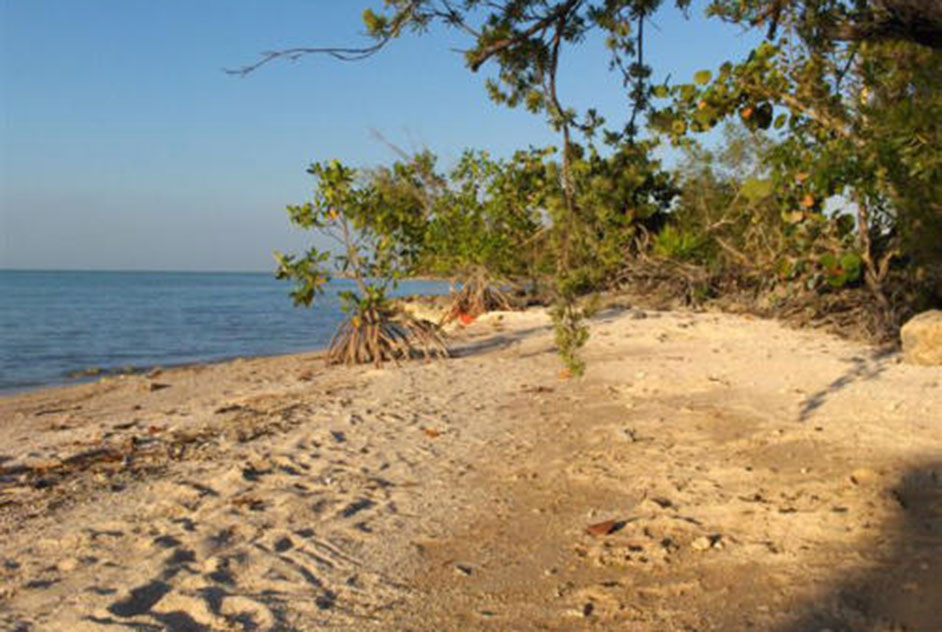 Bay Front 4.8 acres near Sarteneja Village, Corozal