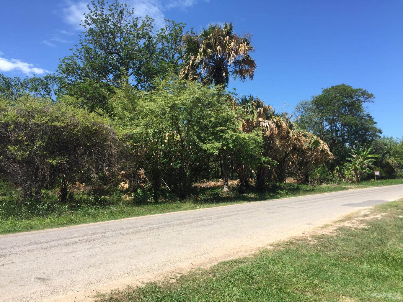 0.98  Acres land in Corozal Town for sale