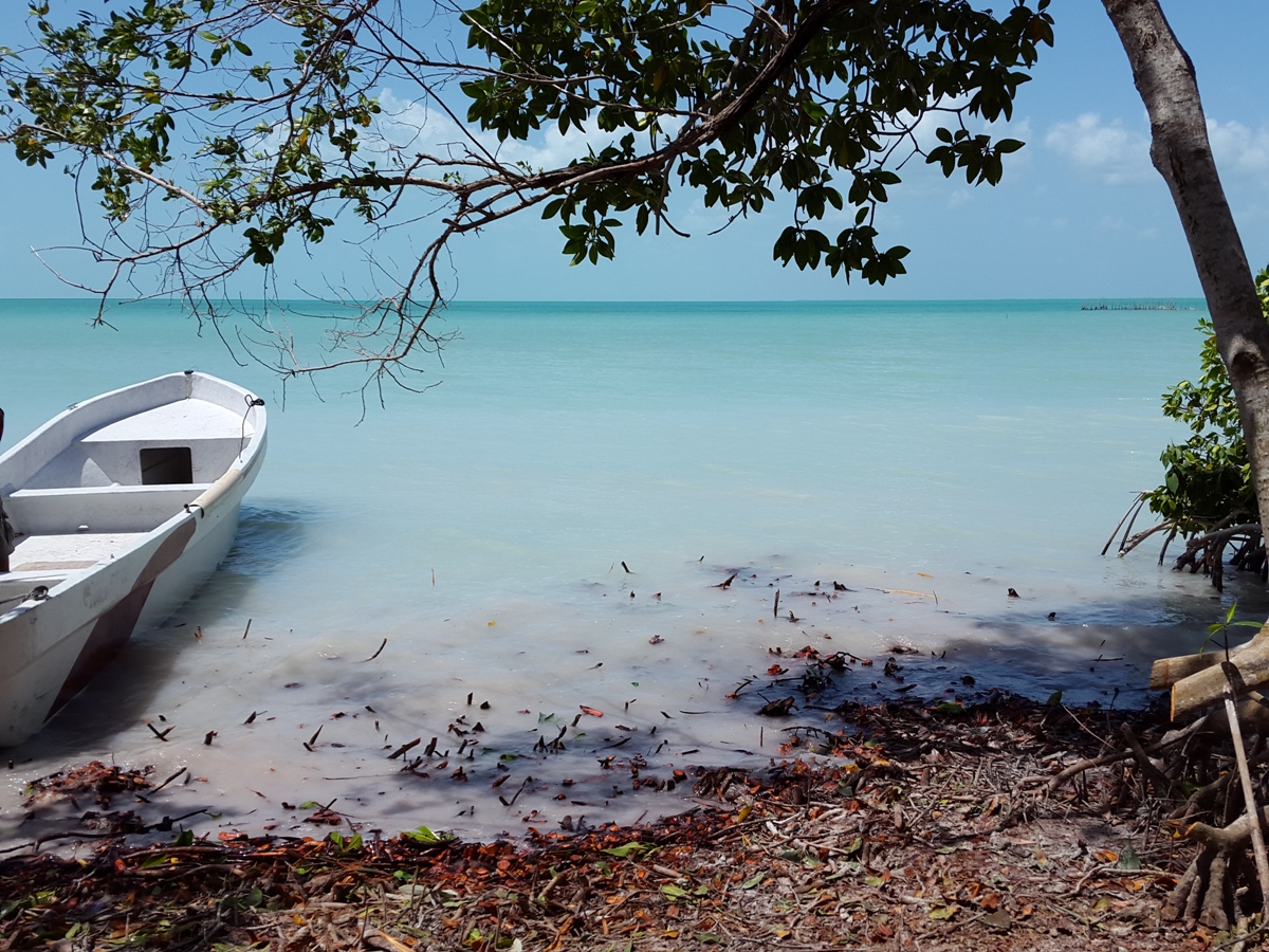 1.57 Acres Seafront Lot for sale in Sarteneja, Corozal Belize