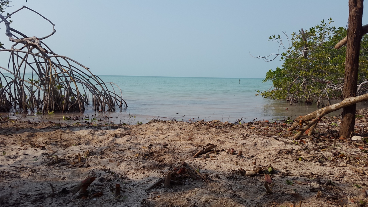 Buy Belize Real Estate