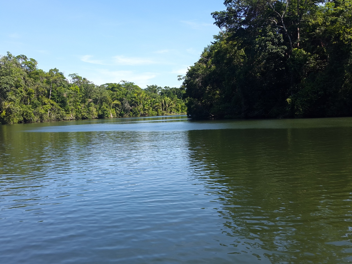 30 Acres of Land on the Moho River