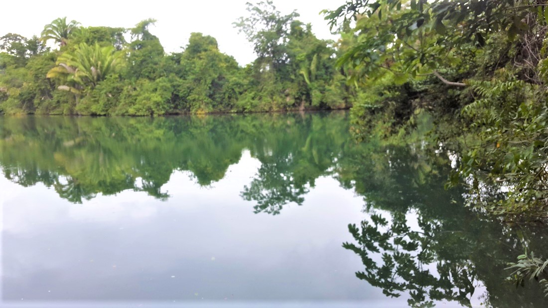 31 Acres of land on Rio Grande Buy Belize Real Estate