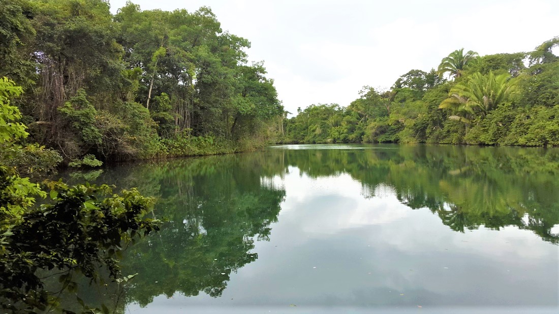 31 Acres of land on Rio Grande