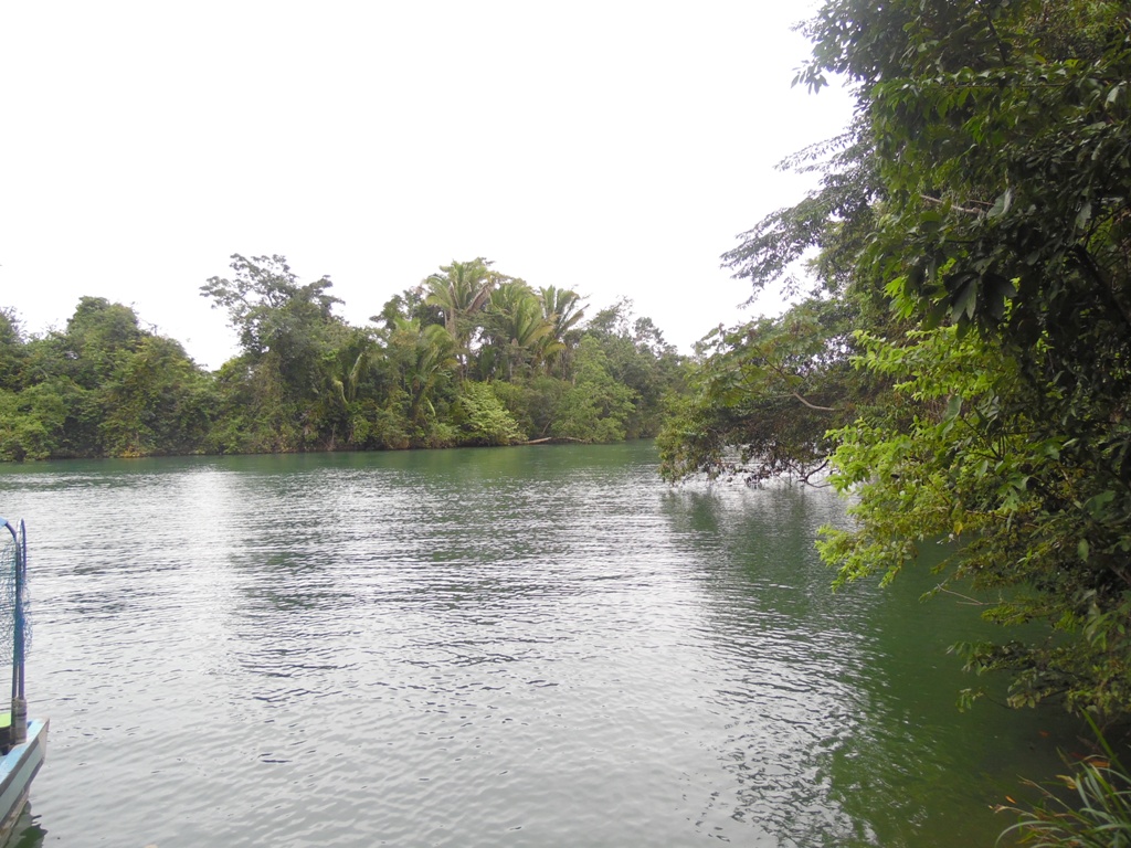 55 Acres on the Rio Grande River