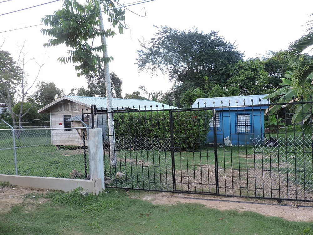 Fully fenced yard and gate