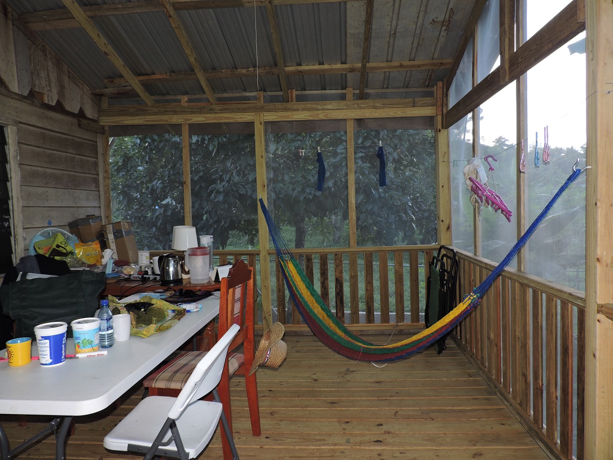 Screen Porch with Hammock
