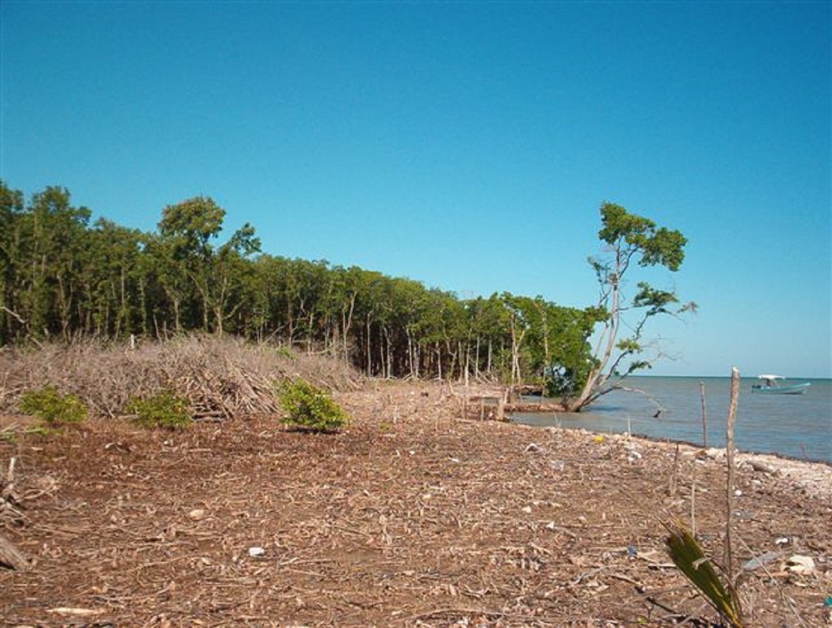 27 Acres of Land with Sea and Lagoon Access