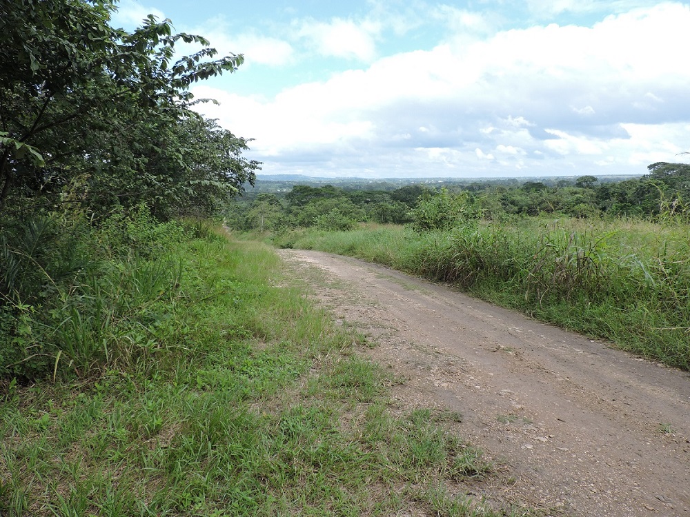 Road to Property