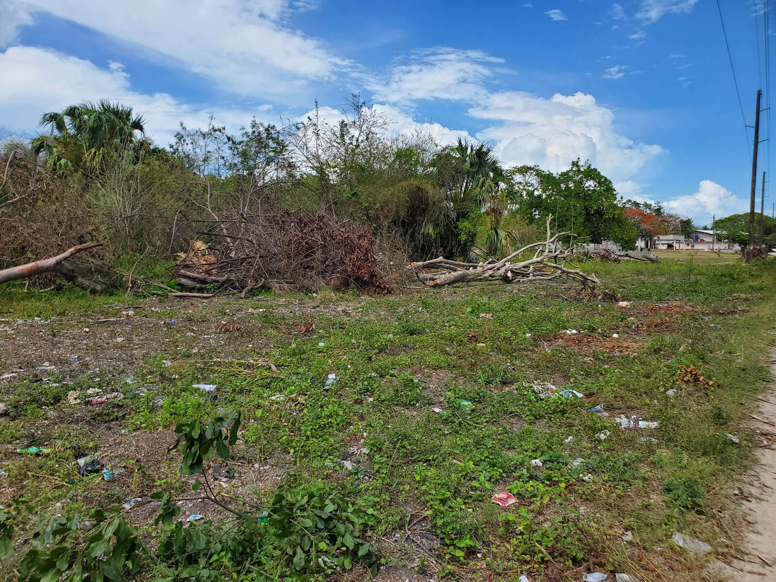 Land in Corozal Town Reduced to US$47,500.000