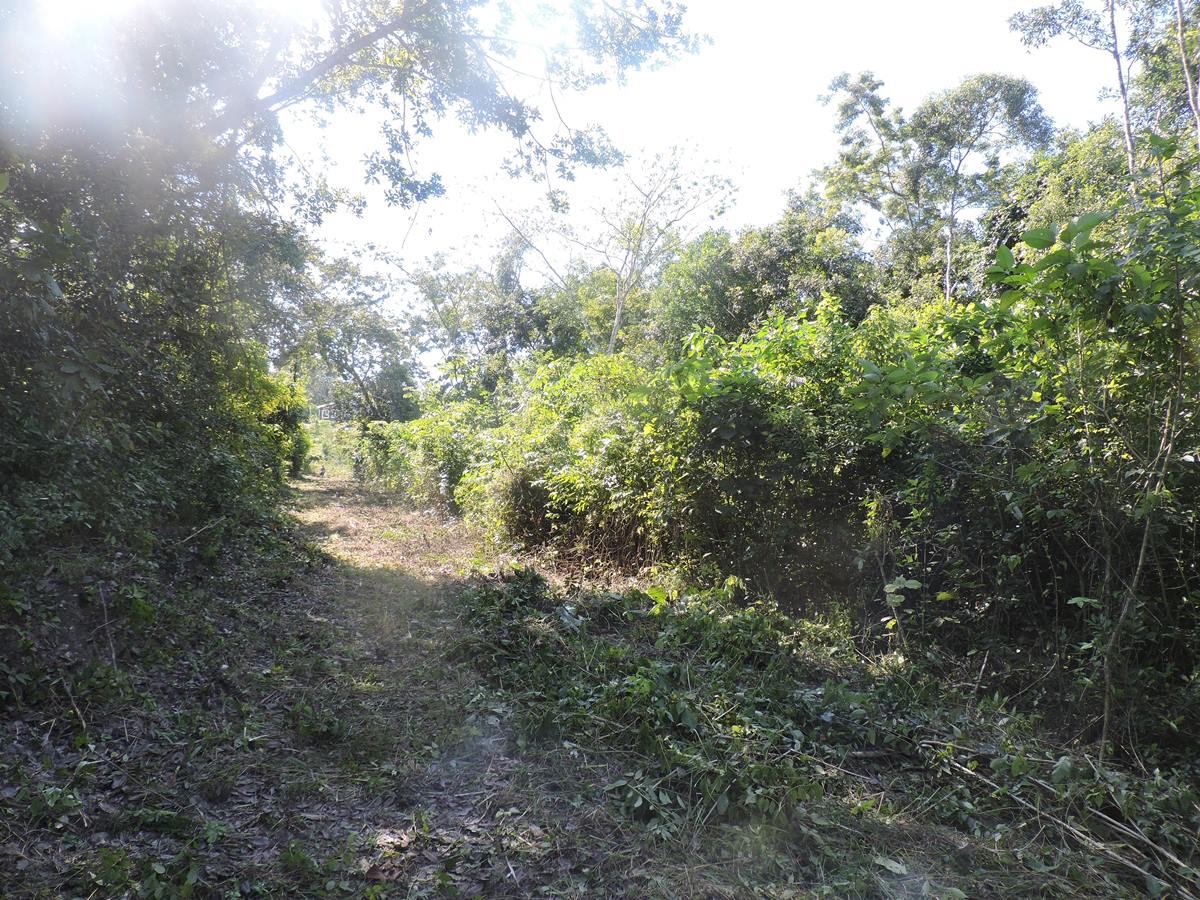 Potential Road Leading to Property