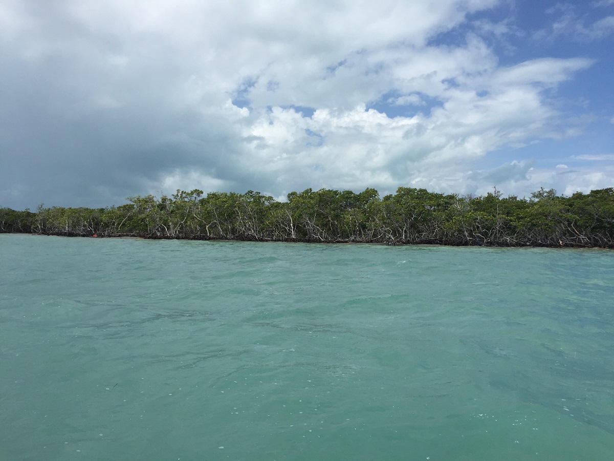 30 Acre Island Property for Sale on Hicks Caye