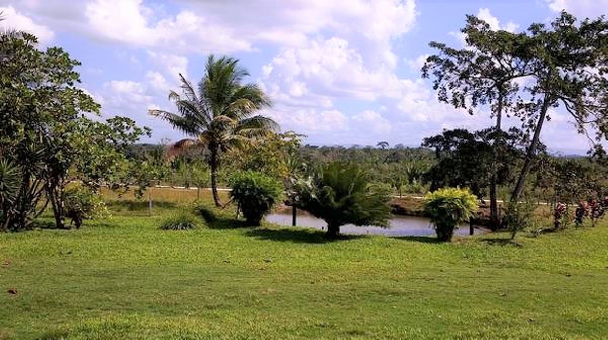 254 Acre Farm for Sale in Cayo District