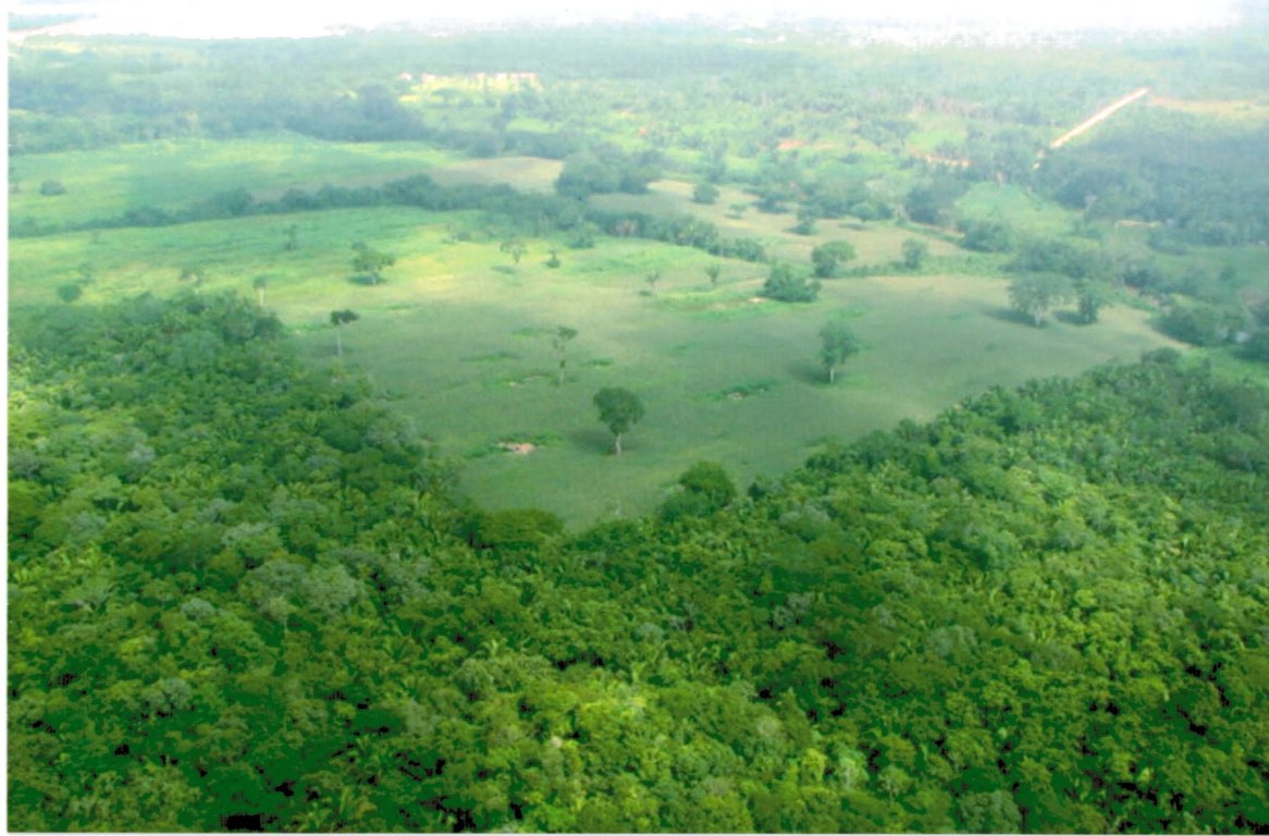 433 Acres of Pristine Farm Land in Cayo Buy Belize Real Estate