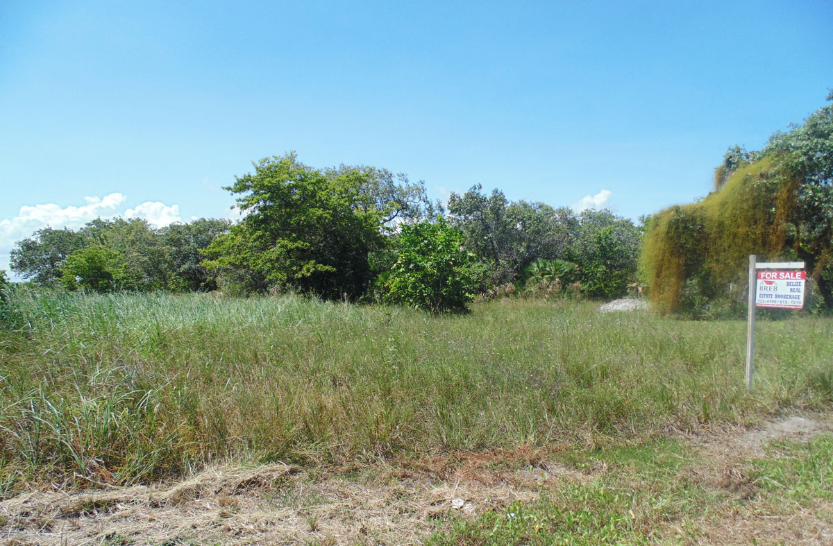 Prime Commercial Lot for Sale in Seine Bight Village