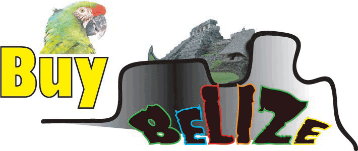 Concrete Family Dwelling