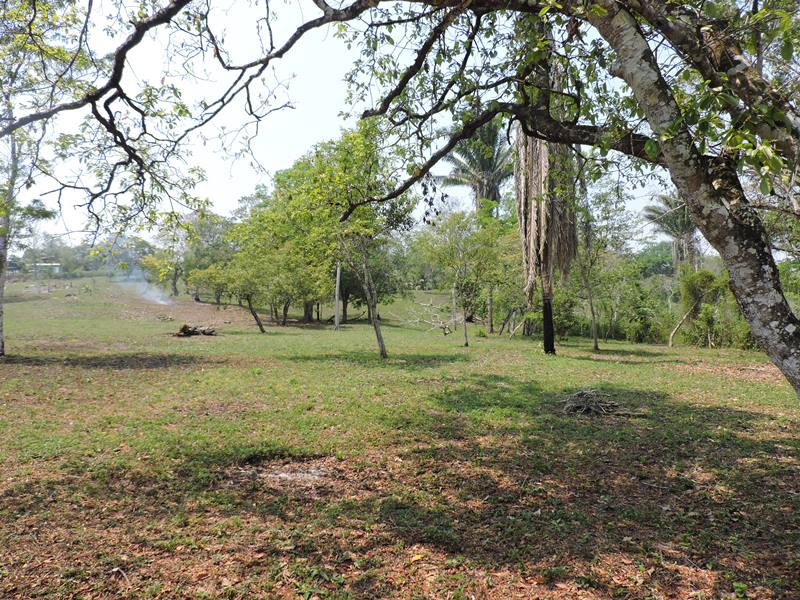 Beautiful 6 Acres land w Expansive Green Lawn
