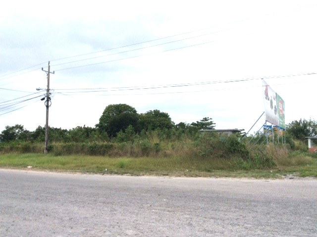 Prime One-Acre Lot for Sale – Junction of Phillip Goldson Highway and Libertad Road, Corozal District