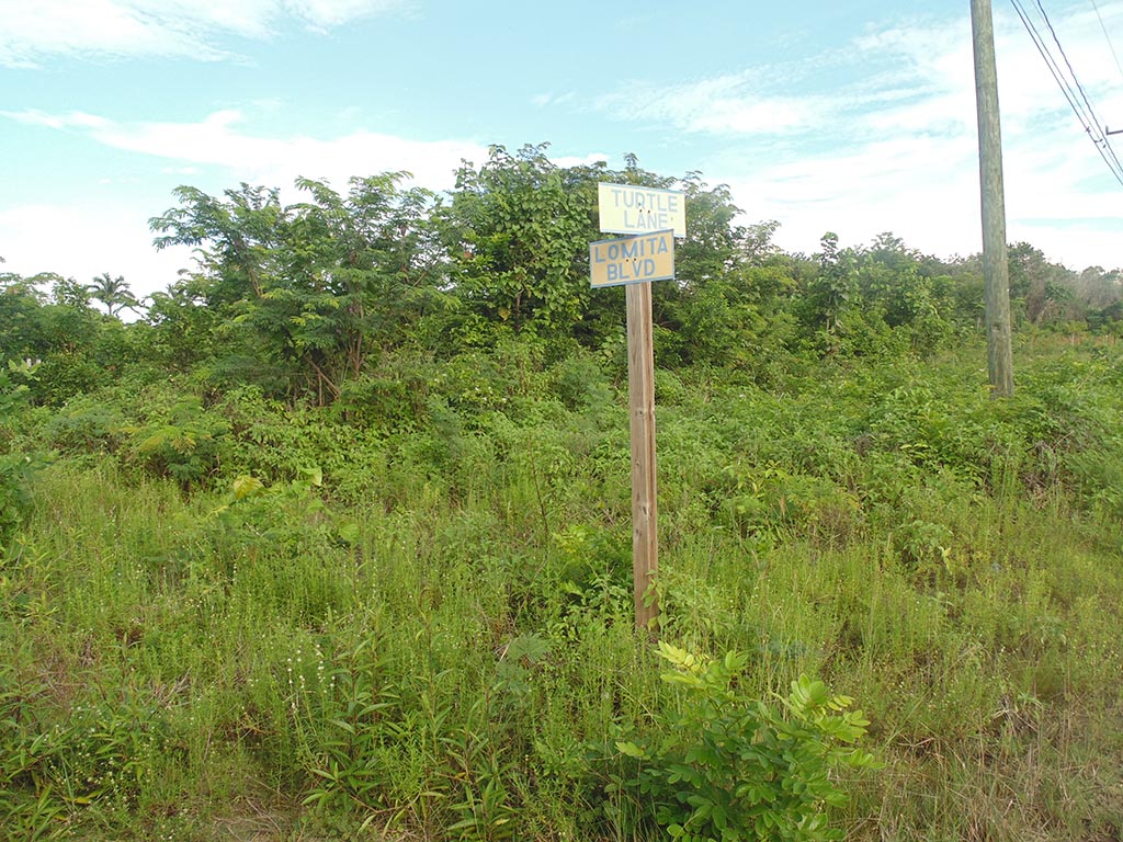 Residential Lot Located in Corozal