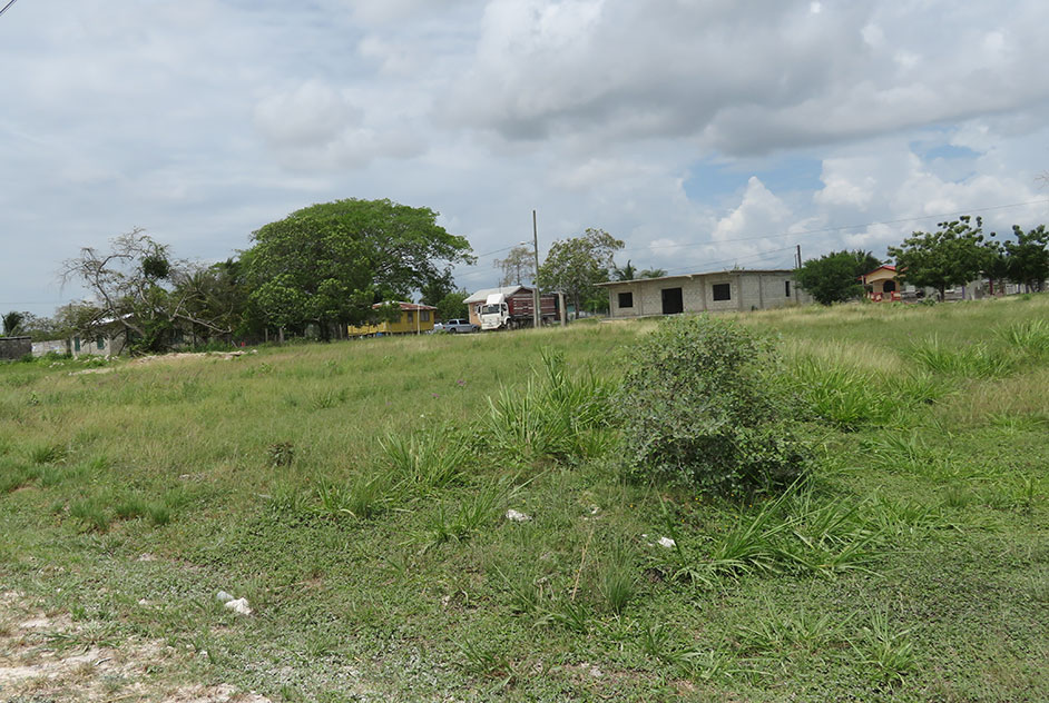 Four lots side by side in Orange Walk