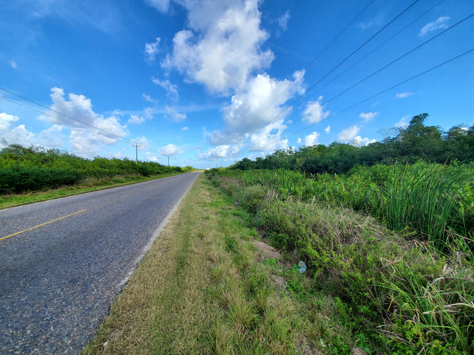 4.5 Acres of Land on George Price Highway