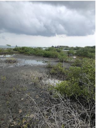 Residential Lot for Sale in DFC Area of San Pedro Town