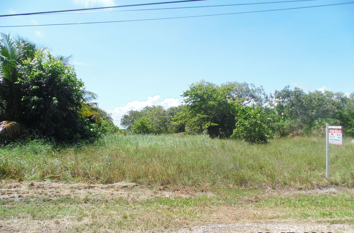 Two lagoon view lots 2 minutes from the lagoon