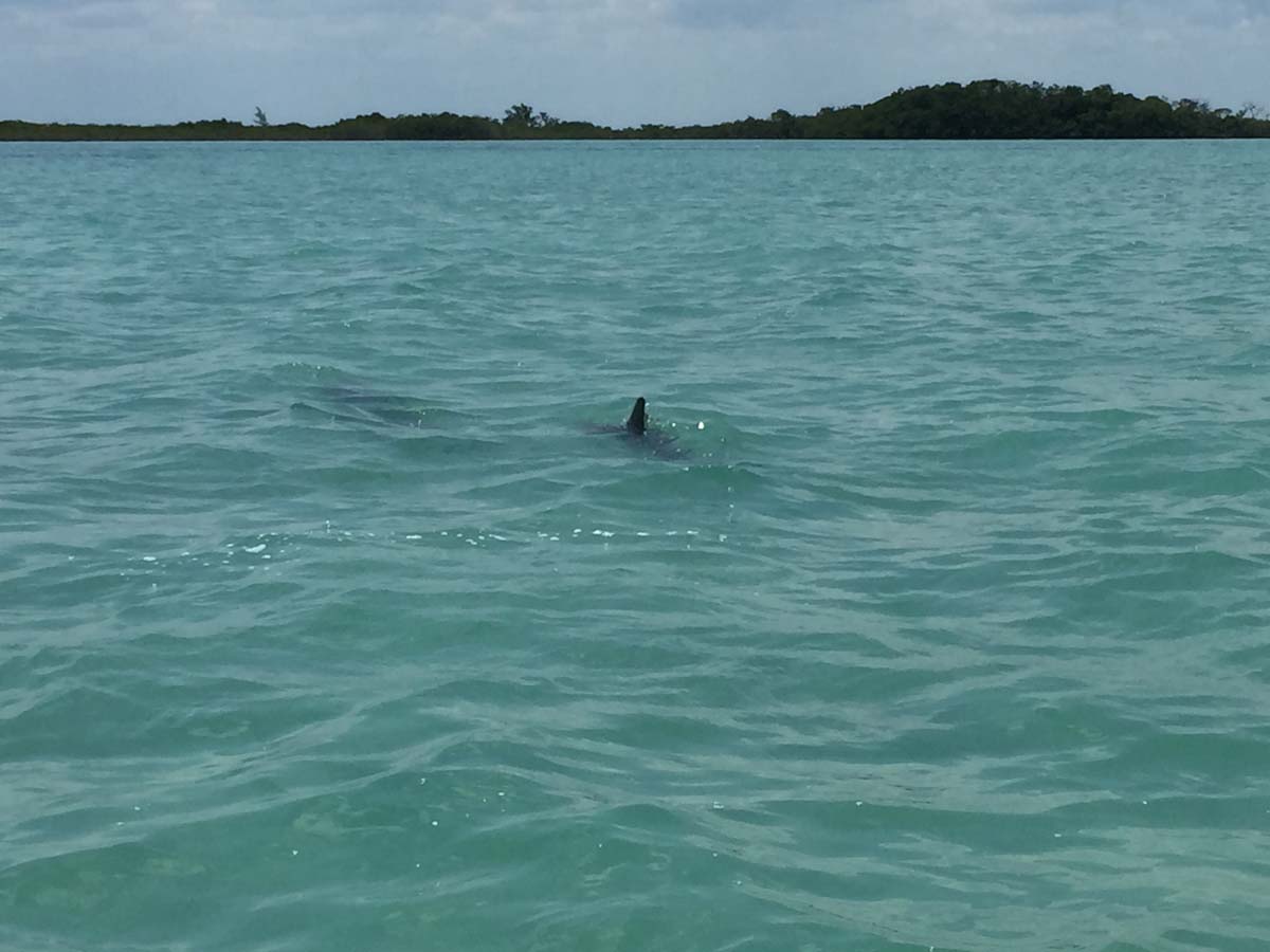 25 Acres on Hicks Caye