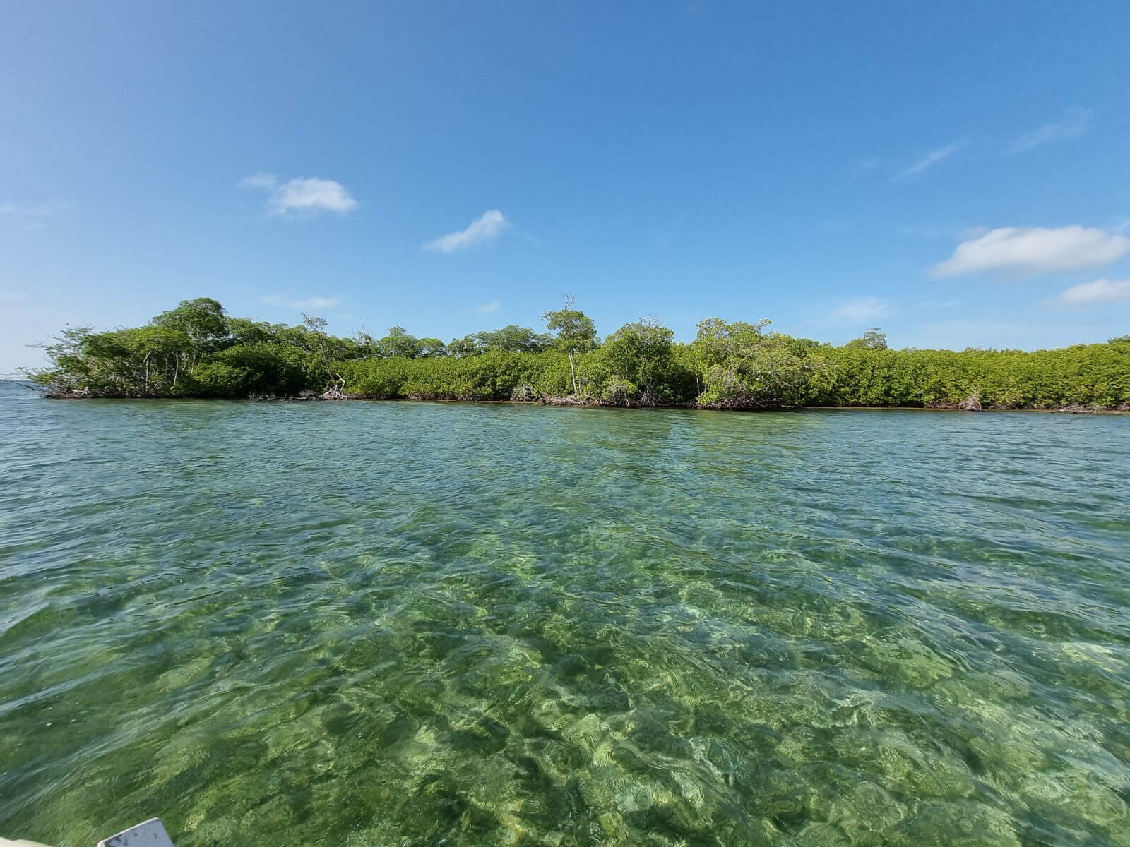 5 Acre Island for Sale near Ambergris Caye