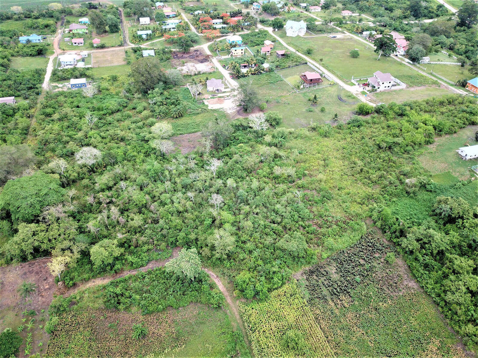 3 Acres of Prime Land in San Ignacio Town