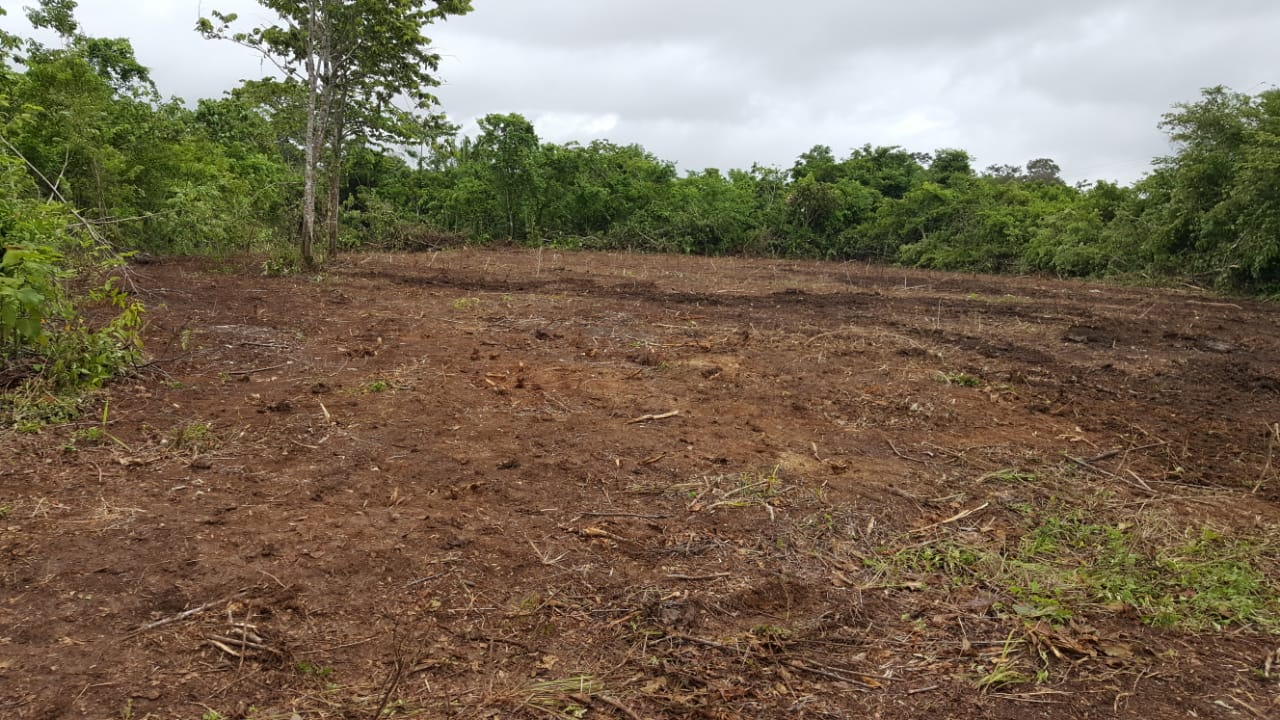 Commercial/Residential Lot For Sale in Belmopan