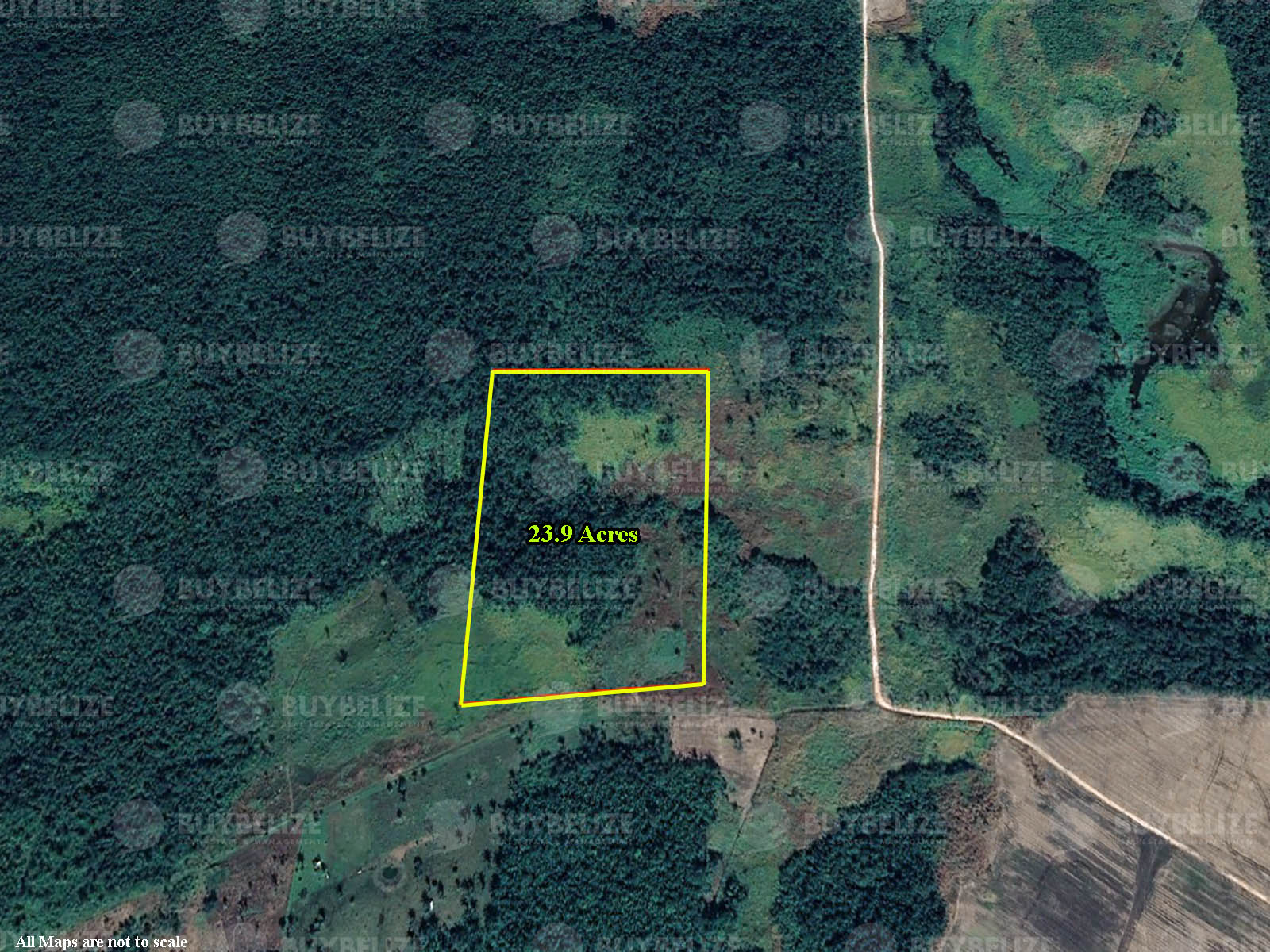 Prime Farmland Near Valley Of Peace