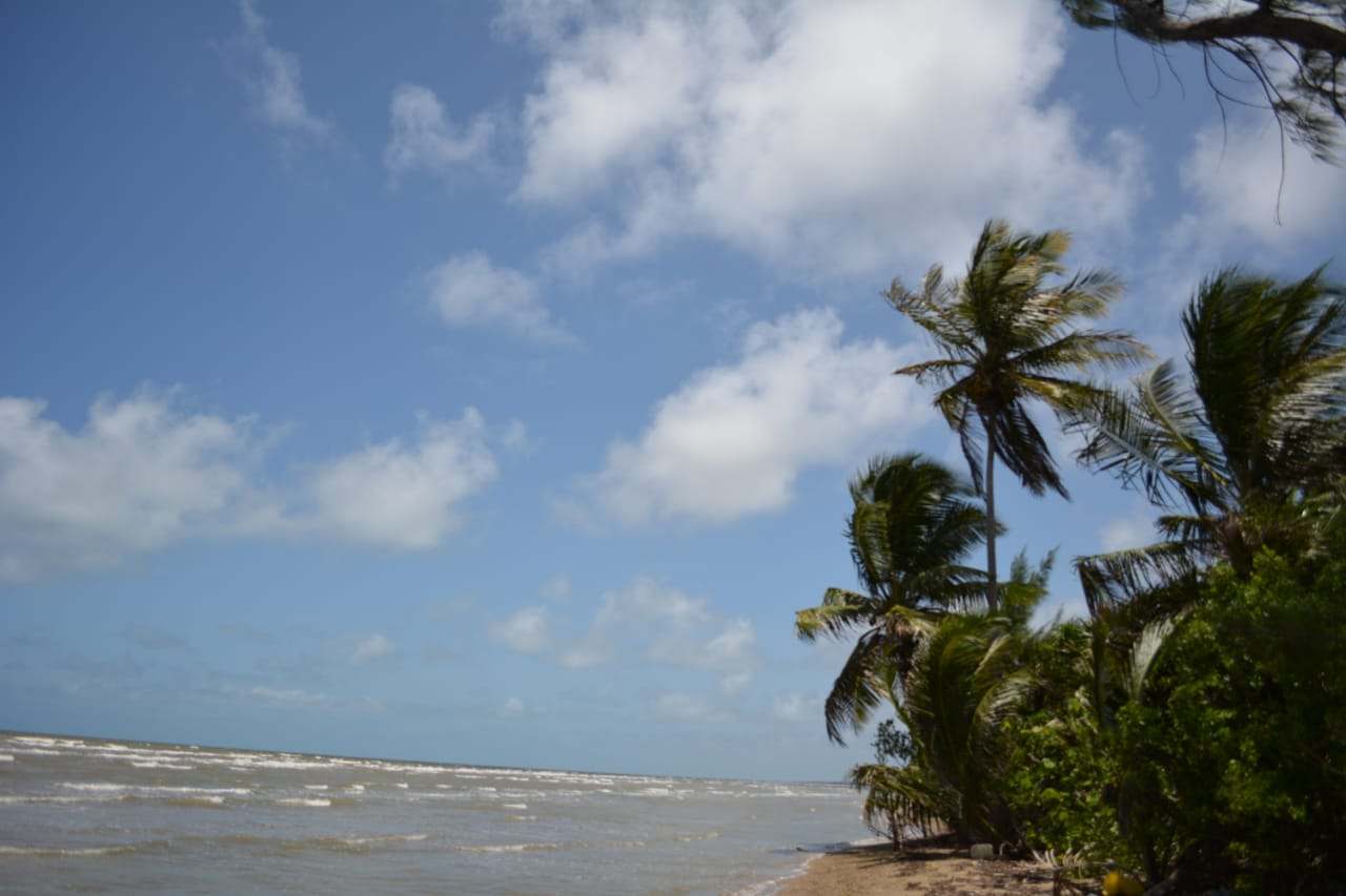 2 Acres Beach Front Lot in Gales Point Manatee