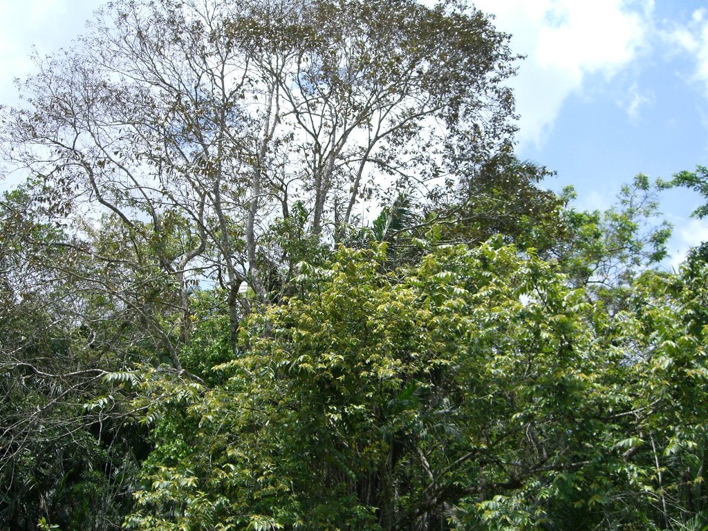 115 Acres of Riverfront Farm Land in Scotland Halfmoon