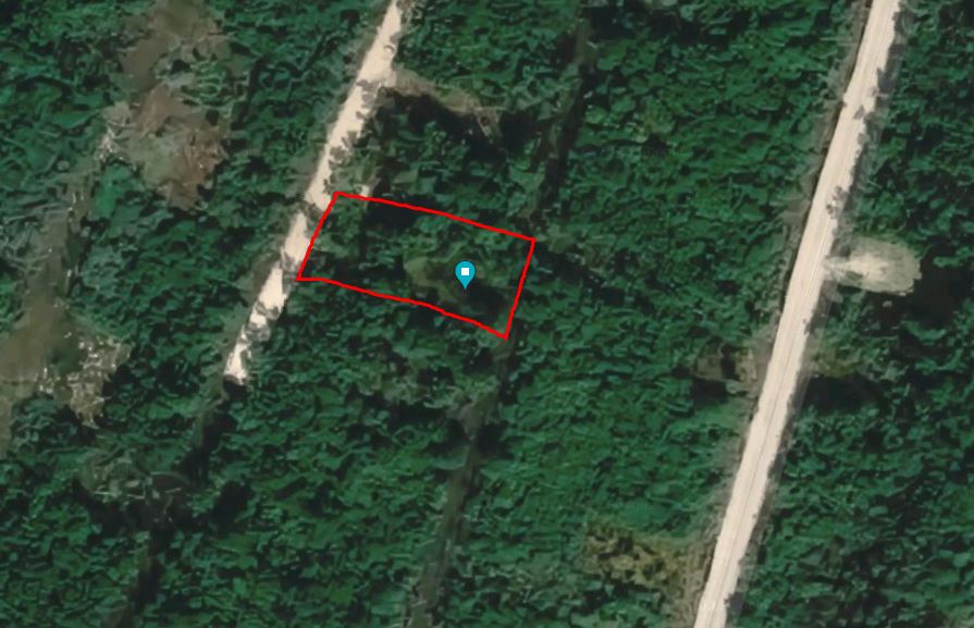 Land for Sale in San Pedro Town