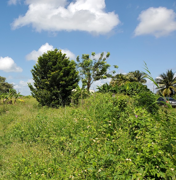 Lot for sale in Belmopan with office building 25 ft x 30 ft